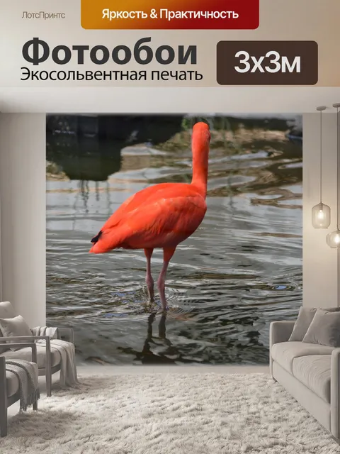 Фотообои Ibis Красная 04