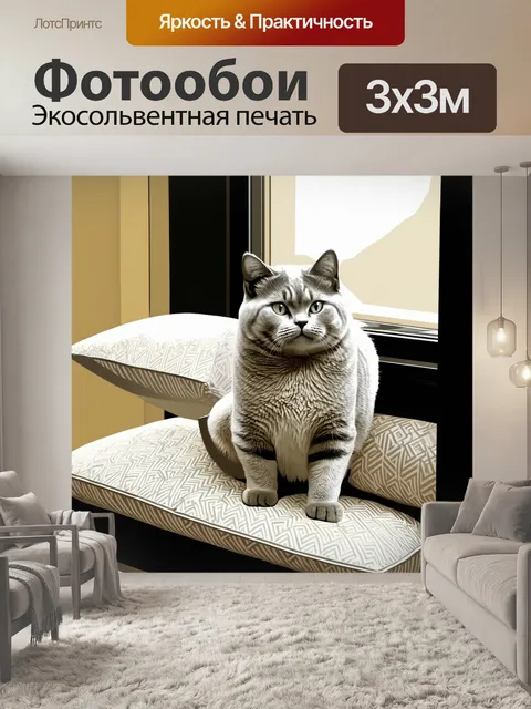 Фотообои британская короткошерстная кошка уверенно высматривает за окном
