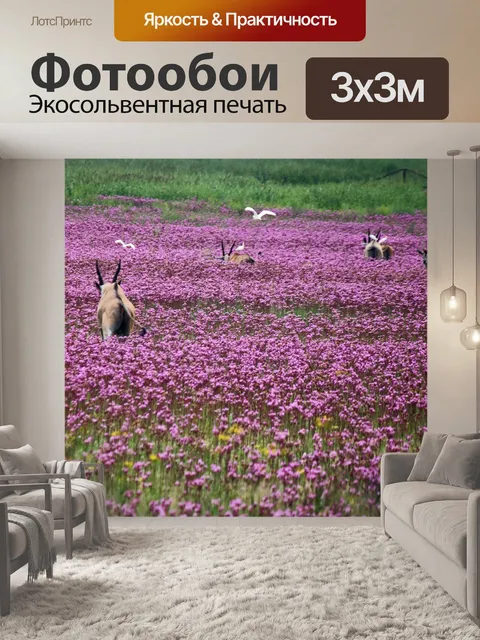 Фотообои группа Эланд антилоп