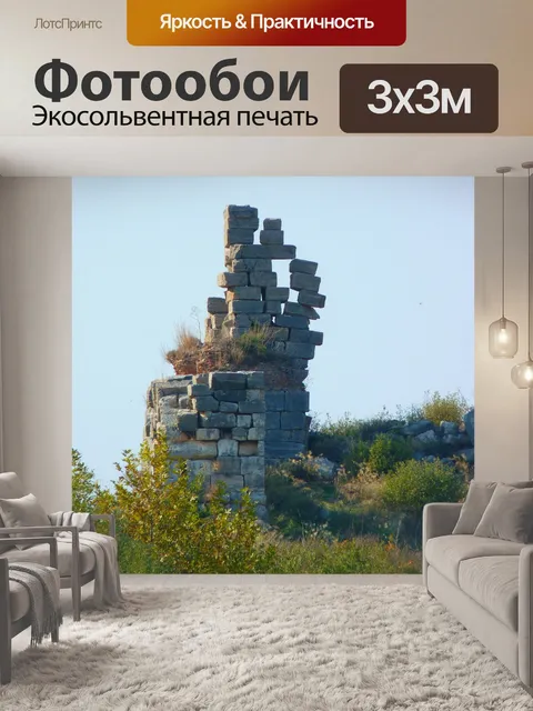 Фотообои Разорение