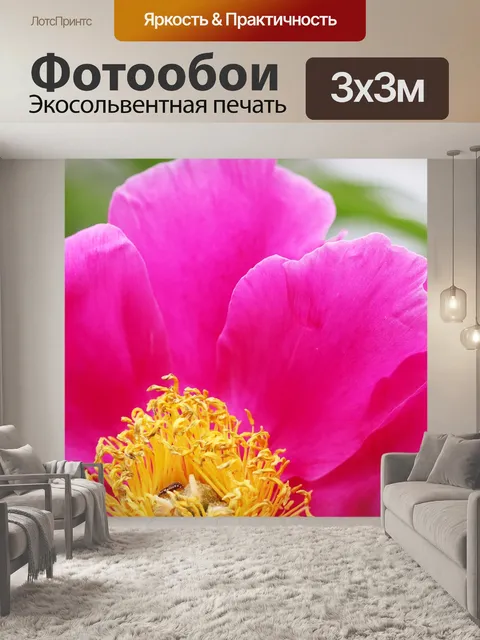 Фотообои Пион