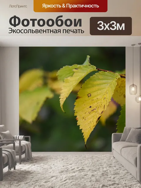 Фотообои Осень
