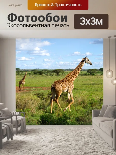 Фотообои Жирафы