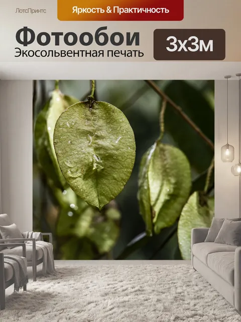 Фотообои Капли дождя на листе