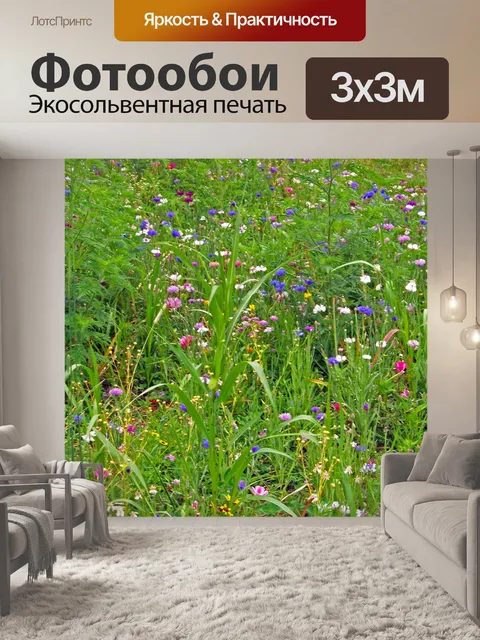 Фотообои Полевые цветы