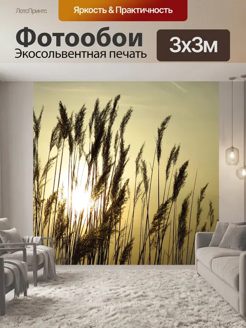 Фотообои Рид