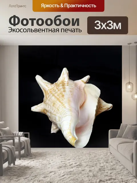 Фотообои Устрицы