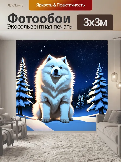Фотообои самоед с пушистой шерстью, поднимающий голову к звездам на фоне зимнего ночного леса