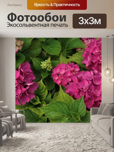 Фотообои Буш