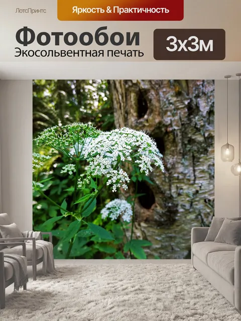 Фотообои Лес