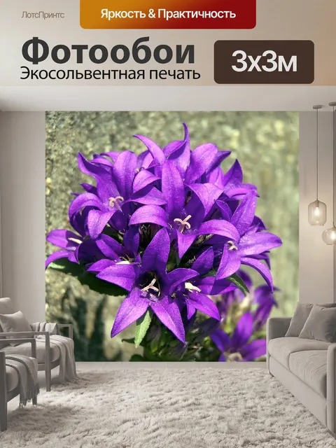 Фотообои Узлы