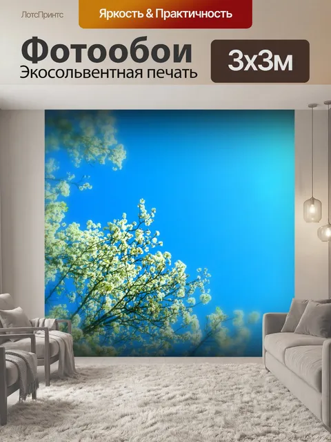Фотообои Белые цветы