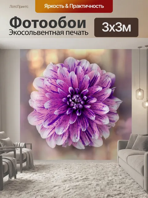Фотообои Цветок георгина цветок розовый