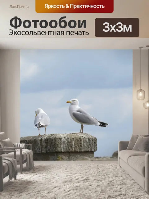 Фотообои Чайки