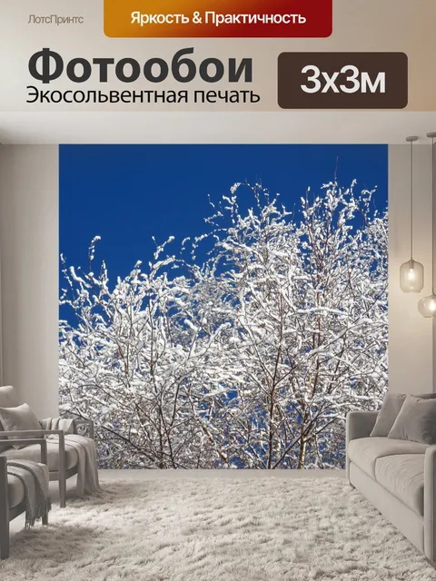 Фотообои Березовые ветки