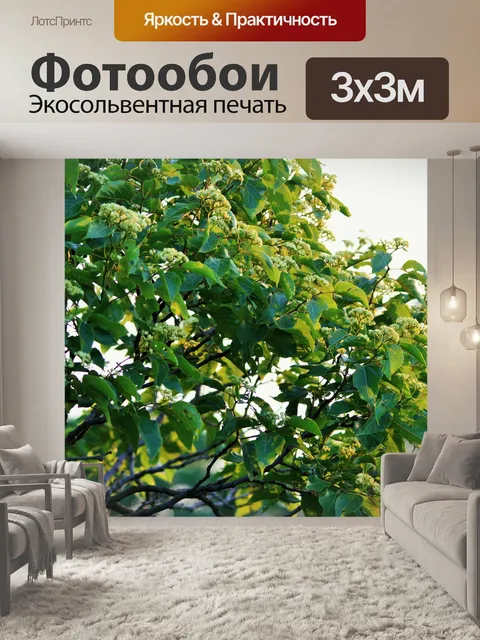 Фотообои свет на японском изюмом