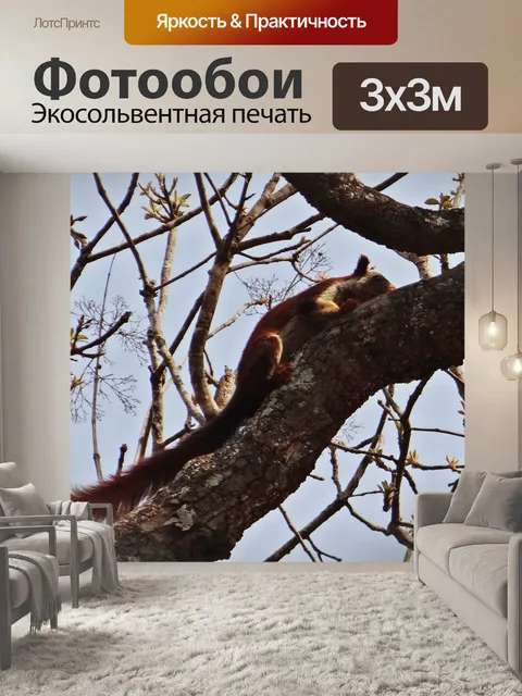 Фотообои Малабар гигантские белки