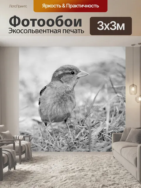 Фотообои Воробей