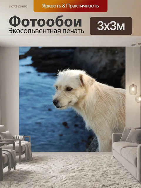 Фотообои Собака