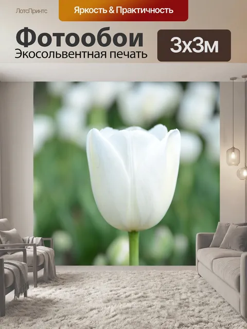 Фотообои Белый