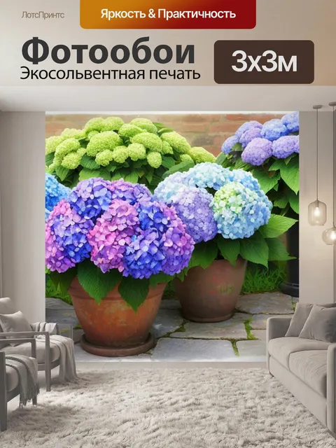 Фотообои с гортензиями