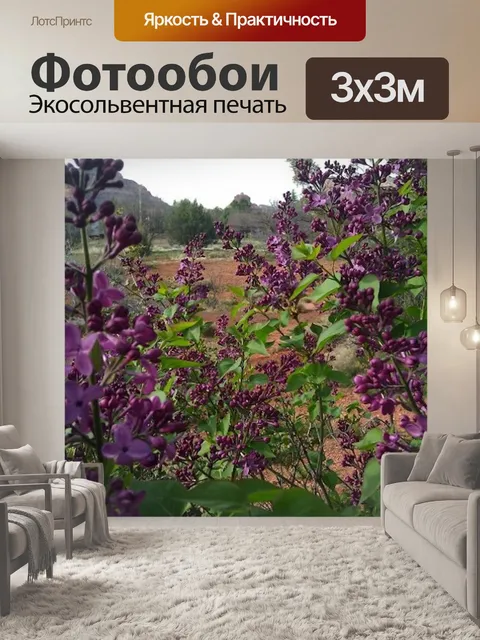 Фотообои Сирень