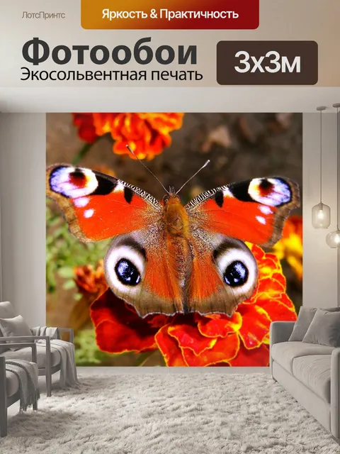 Фотообои Бабочки дневные
