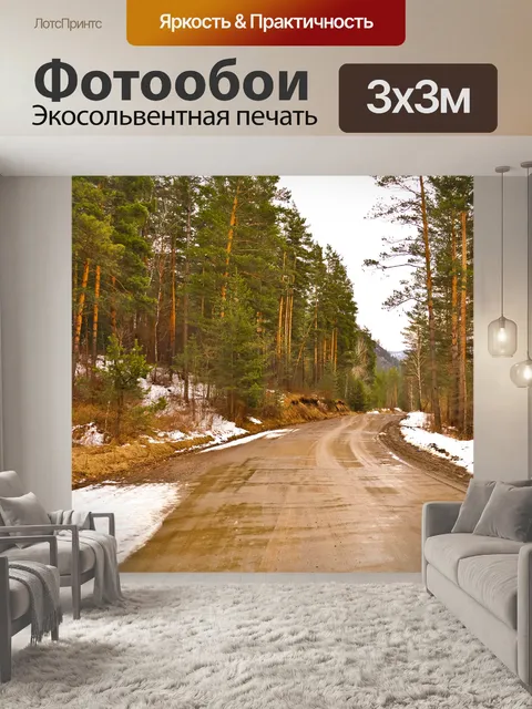 Фотообои Дорога в лесу
