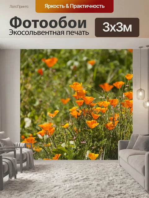 Фотообои Калифорнийские маки