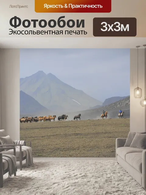 Фотообои Исландских лошадей