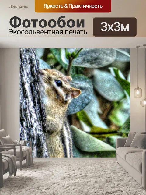 Фотообои Бурундук