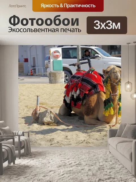 Фотообои На коленях верблюд на заправке
