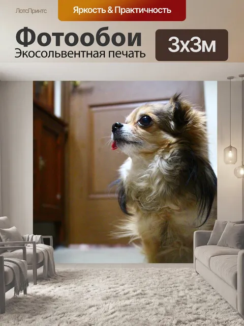 Фотообои Милый