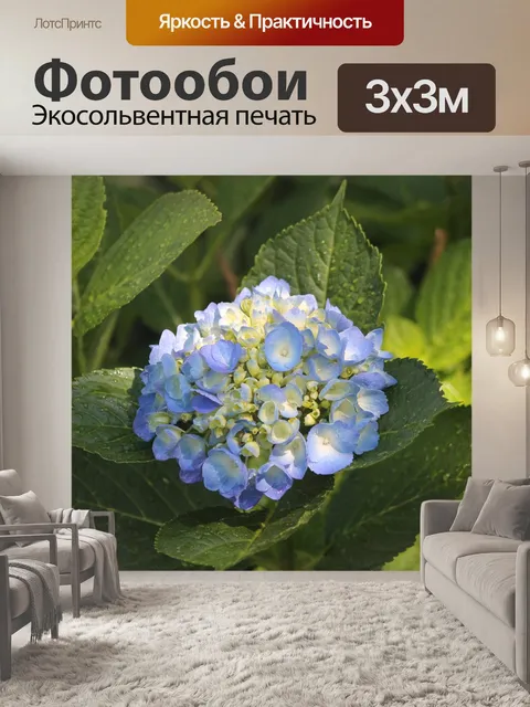 Фотообои Цветок