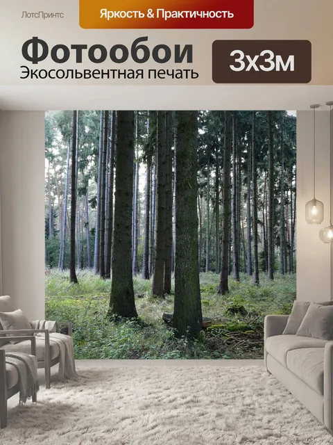 Фотообои Лес