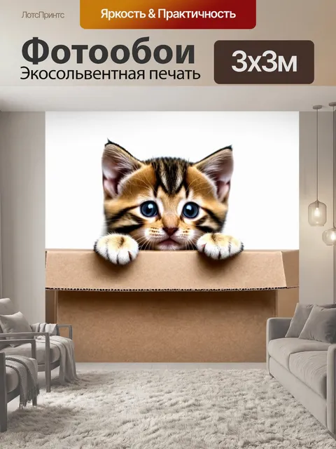Фотообои котенок, выглядывающий из коробки