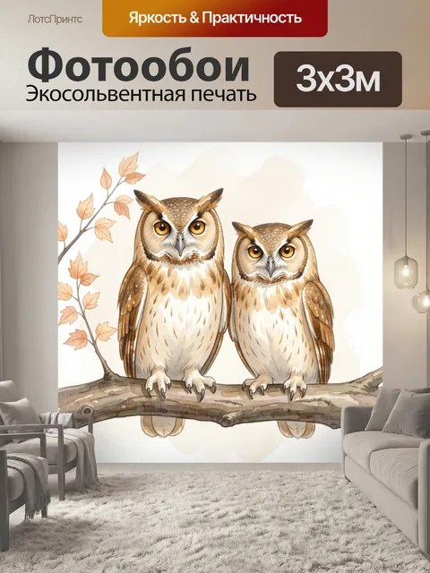 Фотообои Две совы на ветке