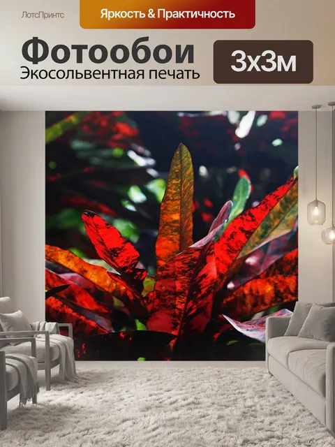 Фотообои красные листья кротона