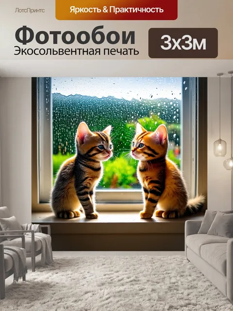 Фотообои котята, наблюдающие за дождем из окна, словно философы