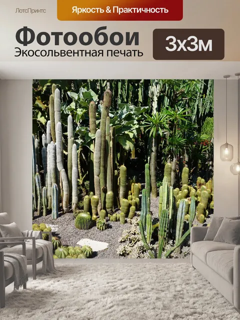 Фотообои Кактусы