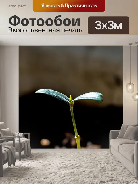 Фотообои Весна