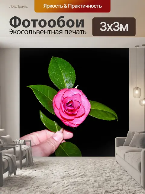 Фотообои Цветы