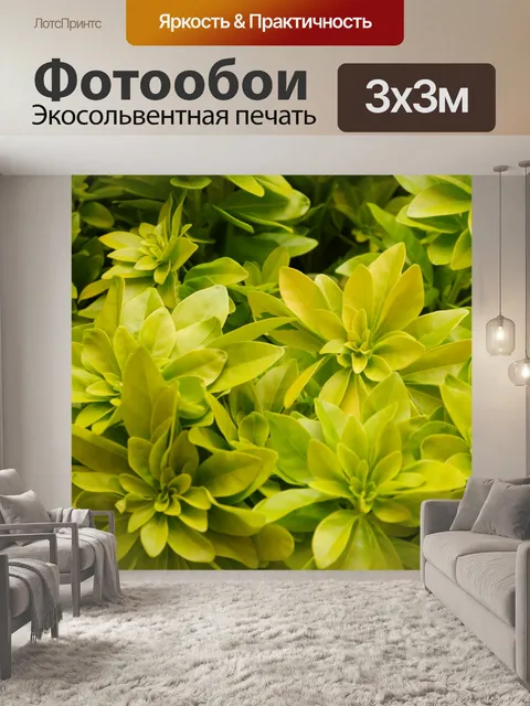 Фотообои цветы