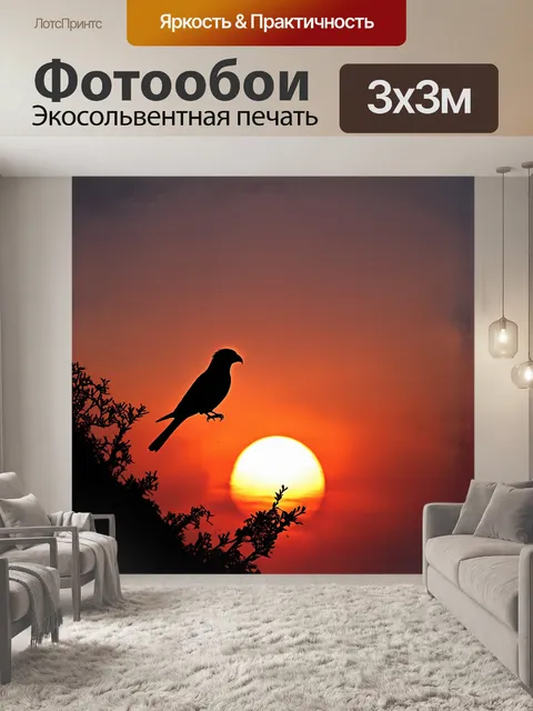 Фотообои на фоне вечернего заката корелла выглядит как силуэт, сидящая на верхушке дерева
