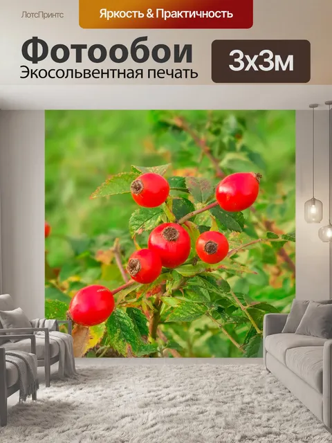 Фотообои Красные плоды шиповника