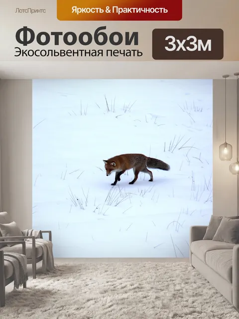 Фотообои Лиса