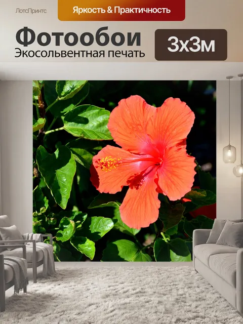Фотообои Яркий цветок гибискуса