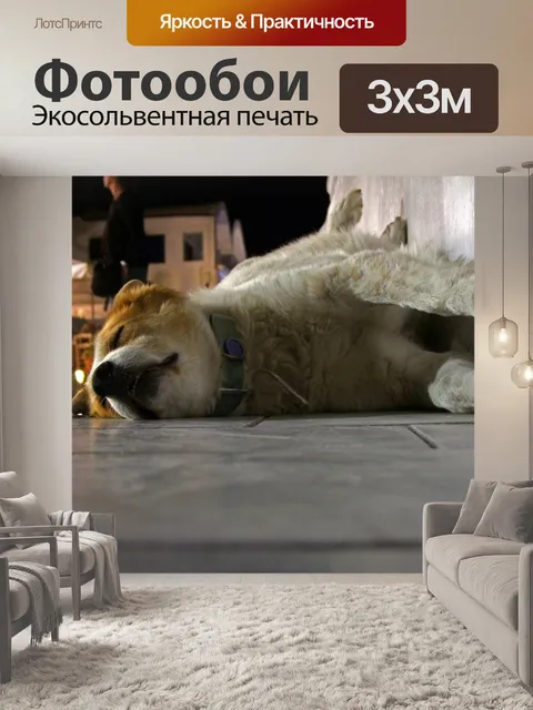 Фотообои Собака