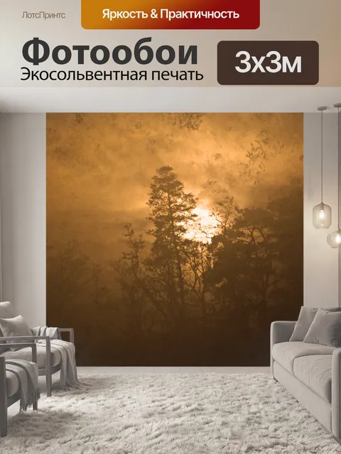 Фотообои Деревья в тумане