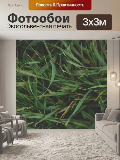 Фотообои Матовая длинная трава фон